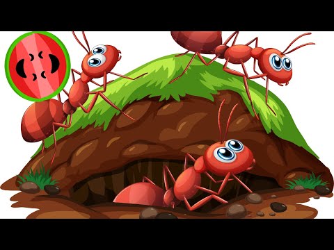 The Ants Go Marching One by One | Fun Kids Song | ElephantRhymes | Sing Along & Learn!