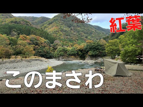 【山梨県】このまさわキャンプ場で紅葉キャンプ【ソロキャンプ】【秋キャンプ】【紅葉】【山梨県キャンプ場】【道志川】【デイサイト】