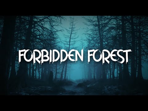 HAUNTED FOREST AMBIENCE | 3 HOURS OF NIGHT FOREST SOUNDS, GHOSTLY WHISPERS, AND NIGHTMARISH CRIES