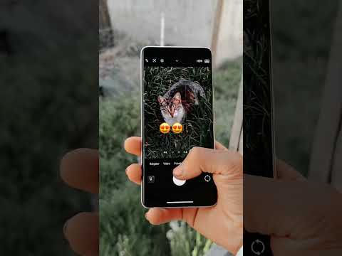 Xiaomi 14 ultra camera test in 2024