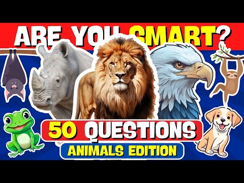 How Much Do You Know About Animals? 🦁🐸🐮 | Random Quizzes