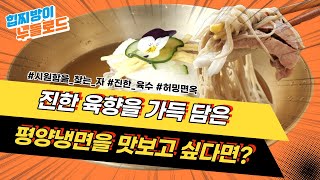 열돔 폭염 더위에 지친 면성애자를 위한 여름특식 강원도 춘천 평양냉면맛집 허밍면옥 [힙찌방이가 먹어봤다 누들로드 Ep.7]