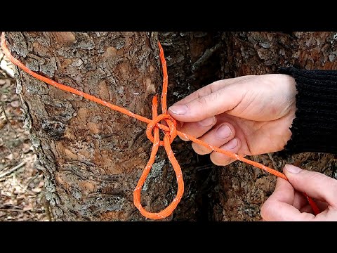 Keeping it Simple - Tarp Ridgeline Using One Knot