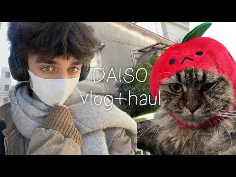 come with me to DAISO in japan! + haul ˚‧º·( 。ᗒ ‸ ◕✿)