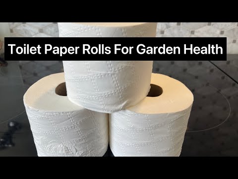 Toilet Paper Rolls for Garden Health