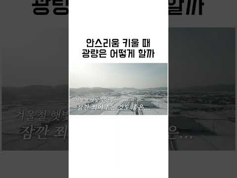 계절 별 햇빛 체크가 필요한 이유