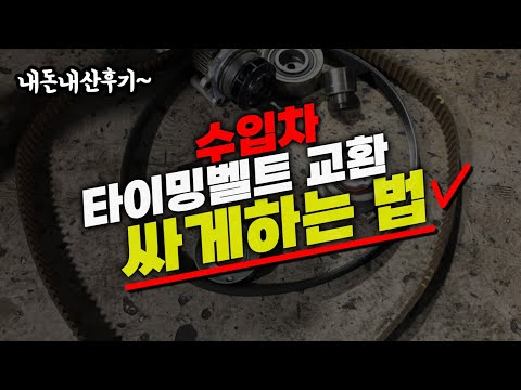 타이밍벨트 교환 내돈내산 후기