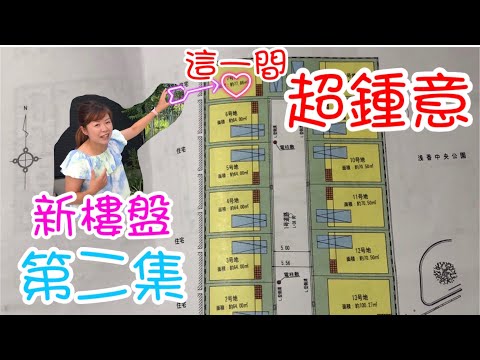 大阪市新樓盤(第二集) 好喜歡的一戶建