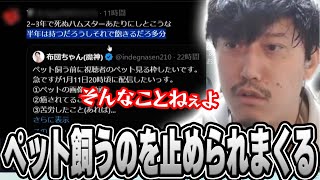 ペットを飼うのを止められまくってしまう布団ちゃん【2025/1/11】