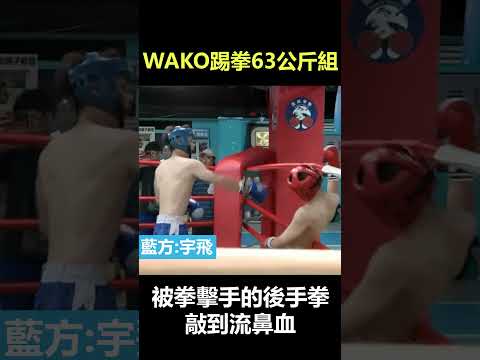 恐怖的拳擊手的後手拳 #智林體育台 #shorts