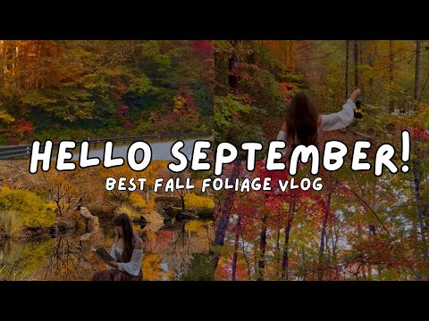 🐿️Hello September🍂 Autumn Vlog, Best Fall Foliage, Slow Living, Cozy Slow Autumn Day, Cottage Garden