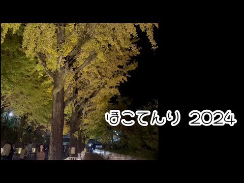 天理の銀杏並木　"ほこてんり" 2024年11月17日　Ginkgo tree Tenri