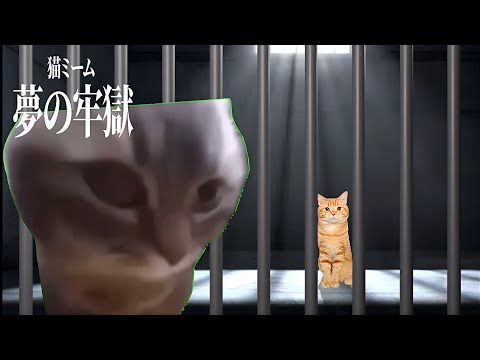 【猫ミーム】謎の牢獄から逃げ出す物語 第11話