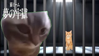 【猫ミーム】謎の牢獄から逃げ出す物語 第11話