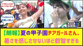 甲子園チアガールさん、最高すぎるwwww