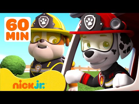 PAW Patrol | PAW Patrol NEUE FOLGEN Compilation! | 1 Stunde | Nick Jr. | Nick Jr. Deutschland