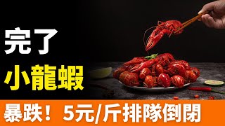 完了！小龍蝦！5元/斤！均價腰斬！大量店鋪倒閉，蝦農血虧甩賣，資本加速撤場！夜宵霸主徹底玩完！曾市場規模5000億，如今冷冷清清，行業面臨慘烈崩盤！頭部品牌苦苦掙扎，排隊打靶正式開始！