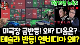 미국주식시황/오늘 왜 반등했나? 테슬라 반등! 엔비디아 하락! 왜? 구글 애플 아마존 메타 마이크로소프트 팔란티어 아이온큐 SMCI 브로드컴 LLY 노보등 $tsla #tesla