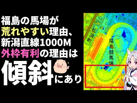 福島競馬場・新潟競馬場の上級者向けコース解説