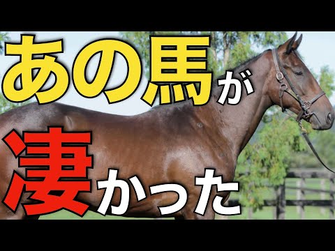 海外で種牡馬入りしたあの馬の配合相手が凄かった！これは期待せざるを得ない。