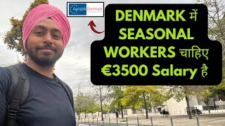 DENMARK WORK PERMIT VISA DIRECT COMPANY HIRING #denmark #luxembourg  #europeworkpermit