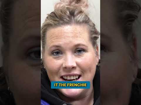 Why "Frenchies" Are the Most Adorable Breed!