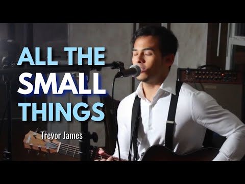 All the Small Things - Blink 182 (Cover by Trevor James)