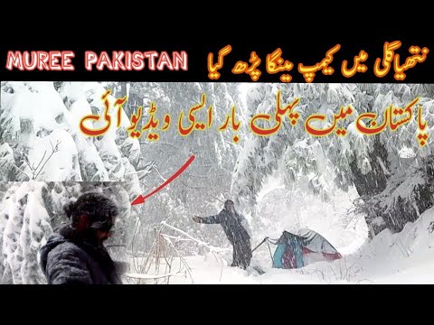 Camping in muree | live snow | Day Solo BUSHCRAFT Winter Camping | snow camping in muree | snow fall