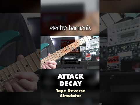 EHX Attack Decay Tape Reverse Simulator Pedal Demo