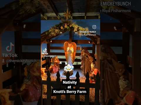 Knott's Berry Farm Nativity!  #shorts #knottsberryfarm  #christmas