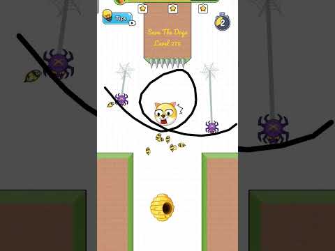 Save The Doge Level 275 3 STARS Gameplay. #savethedoge #shorts #gameplay #walkthrough #mobilegame