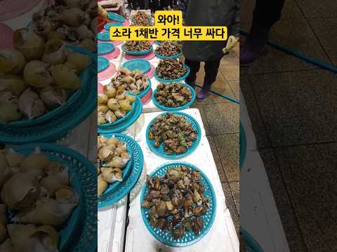 죽도시장  왕소라 가격이 얼마라고? 정말?