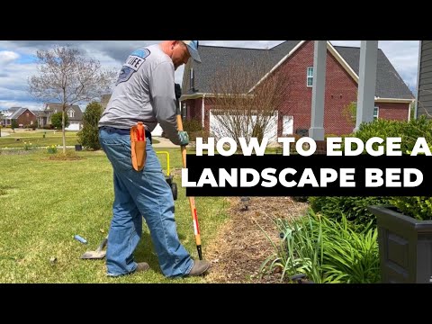 The Power of Edging: Elevate your garden with these simple tools & techniques