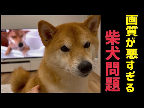 【何故？】どんな動画もボソボソ画質。