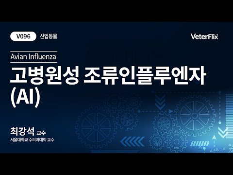 [베터플릭스][산업동물]고병원성 조류인플루엔자(AI)(Avian Influenza)