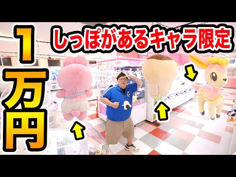 クレーンゲーム1万円でしっぽがあるキャラ限定で限界取りしたら一体何個取れるのか?!