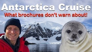 Antarctica Cruise Watch-Outs. 8 Things Brochures Don't Warn You About