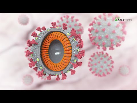 CT-P59 Action Mechanism