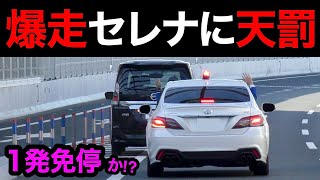 【一発免停か⁉️】爆走セレナが覆面パトカーに捕まる瞬間‼️　[警察 取り締まり 高速道路 スカッと 赤切符 220系]