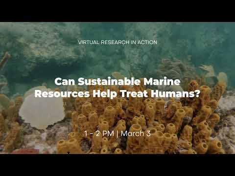 Can Sustainable Marine Resources Help Treat Humans?