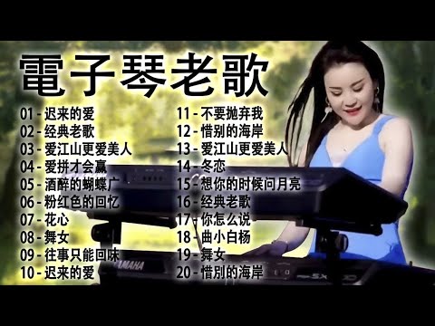 【非常好听】👍 首 电子琴伴奏DJ舞曲，3D環繞立體聲，车载必备音乐电子琴 《爱拼才会赢》《梁祝》《人间第一情》《走天涯》《一剪梅》《乌苏里船歌》懷舊金曲，再憶經典 #5