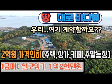 (no 1125 ) 2억 가격인하 급매 실구입가 1억2천만원 대로변 바다뷰 대부도 땅 토지 매매 / 대부도 부동산 / 추천  전원주택 상가 카페 주말농장