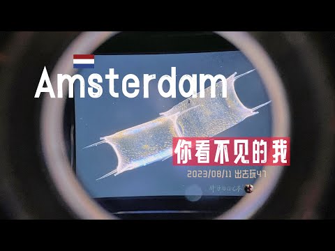 出去玩47-世界唯一的微生物博物館就在阿姆斯特丹 ARTIS – Micropia | 荷蘭旅遊 | 胖仔的荷蘭日記 Pangzai's diary 20230811