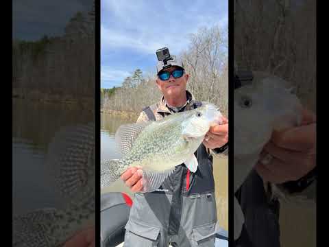 Big Crappie Roaming the Bank