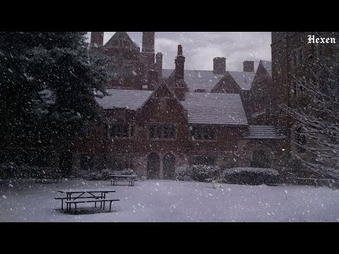 a playlist for a quiet winter morning ( dark academia playlist )