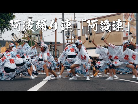 香川県で阿波踊り！？阿讃連による大迫力の演舞！【かんおんじ銭形祭り2024】