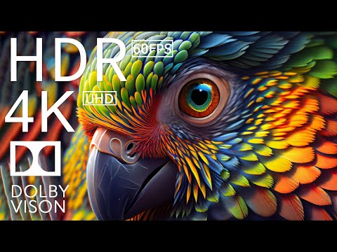 4K HDR 120fps Dolby Vision with Animal Sounds (Colorfully Dynamic) #64