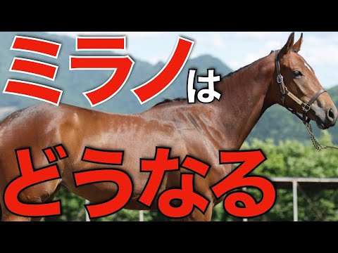 皐月賞馬ジャスティンミラノの今後はどうなる？早期引退から社台SS入りの可能性。