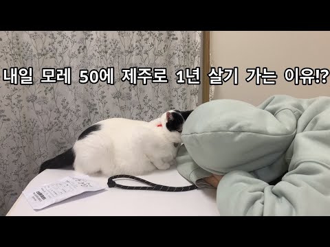 내일 모레 50에 여자 혼자 제주로 1년 살기 가는 이유?!