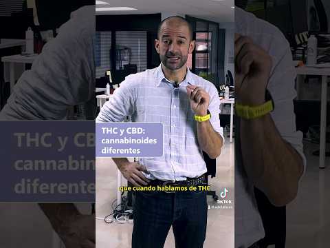 🍁 CBD y THC, una relación que ha sido altamente manipulada por la industria del cannabis.